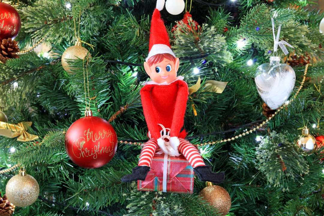 Elf on the shelf - Novedades 2022