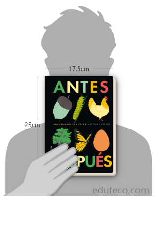 Comparación del tamaño de el libro Antes. Después respecto a una persona. Este mide 17.5 centímetros de ancho por 25 centímetros de alto