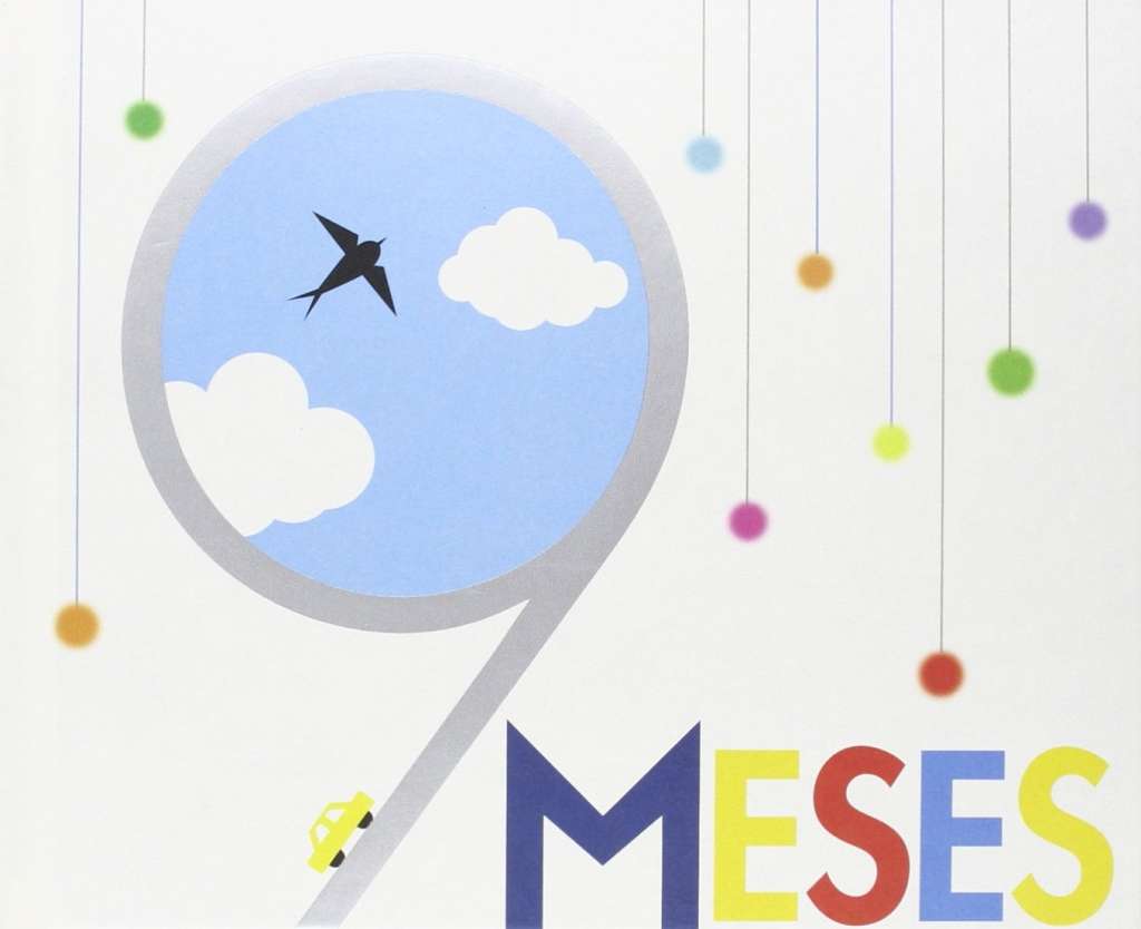reseña del libro 9 meses
